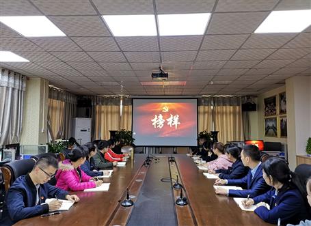 向榜樣看齊，做合格黨員