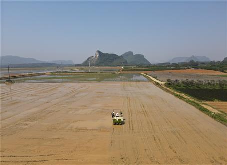 144公頃高標(biāo)準(zhǔn)農(nóng)田通過(guò)驗(yàn)收
