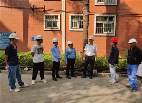 何勇、韋克雪到柳州市城市更新項目進行調(diào)研指導工作